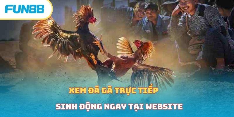 Khám phá trải nghiệm 7m cn truc tuyen với các trận đấu hấp dẫn cùng 7m cn truc tuyen