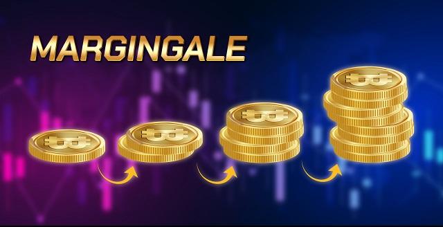 Bí quyết đạt được chứng chỉ năng lực và các lưu ý khi thi chứng chỉ năng lực
